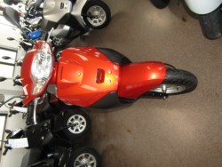 �z���_�^�N�g�E�x�[�V�b�N�i���Q�����R�s�j�摜3