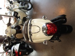 �z���_�W�����m�i���Q�����R�s�j�摜4