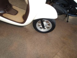 �z���_�W�����m�i���Q�����R�s�j�摜5