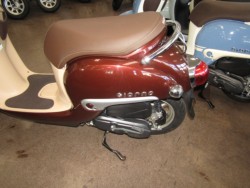 �z���_�W�����m�i���Q�����R�s�j�摜8