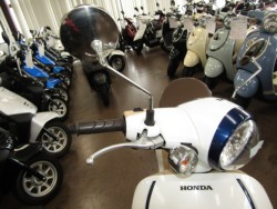 �z���_�W�����m�i���Q�����R�s�j�摜13