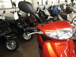 �z���_�^�N�g�E�x�[�V�b�N�i���Q�����R�s�j�摜13