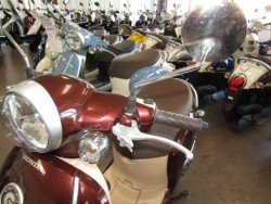 �z���_�W�����m�i���Q�����R�s�j�摜14