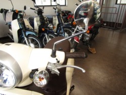 �z���_�W�����m�i���Q�����R�s�j�摜14