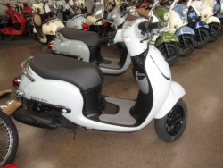 �z���_�W�����m�i���Q�����R�s�j�摜1