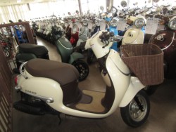 �z���_�W�����m�i���Q�����R�s�j�摜1