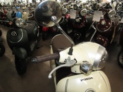 �z���_�W�����m�i���Q�����R�s�j�摜13