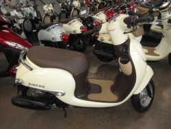 �z���_�W�����m�i���Q�����R�s�j�摜1