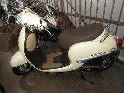 �z���_�W�����m�i���Q�����R�s�j�摜2