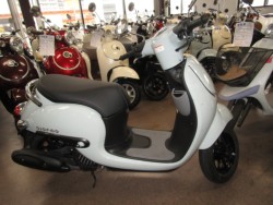 �z���_�W�����m�i���Q�����R�s�j�摜1