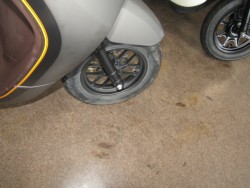 �z���_Dunk�i���Q�����R�s�j�摜5