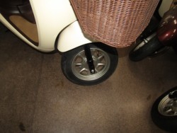 �z���_�W�����m�i���Q�����R�s�j�摜5