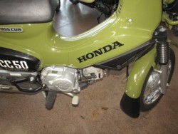 �z���_�N���X�J�u50�i���Q�����R�s�j�摜6