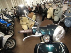 �z���_�W�����mDX�i���Q�����R�s�j�摜13