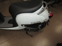 �z���_�W�����m�i���Q�����R�s�j�摜8