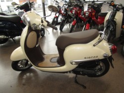 �z���_�W�����m�i���Q�����R�s�j�摜2