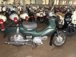 �z���_�N���X�J�u50�i���Q�����R�s�j�摜1