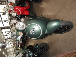 �z���_�W�����m�i���Q�����R�s�j�摜3