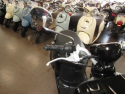 ���}�n�r�[�m�i���Q�����R�s�j�摜13