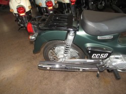 �z���_�N���X�J�u50�i���Q�����R�s�j�摜7