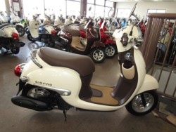 �z���_�W�����m�i���Q�����R�s�j�摜1