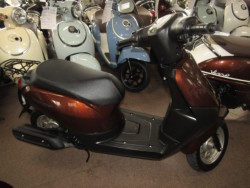 �z���_�^�N�g�E�x�[�V�b�N�i���Q�����R�s�j�摜1