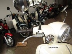 �z���_�W�����m�i���Q�����R�s�j�摜11