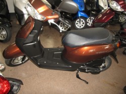 �z���_�^�N�g�E�x�[�V�b�N�i���Q�����R�s�j�摜2