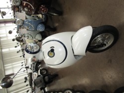 �z���_�W�����m�i���Q�����R�s�j�摜3