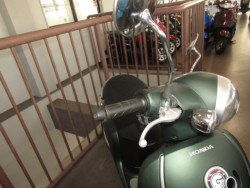 �z���_�W�����m�i���Q�����R�s�j�摜13