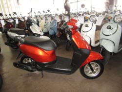 �z���_�^�N�g�E�x�[�V�b�N�i���Q�����R�s�j�摜1