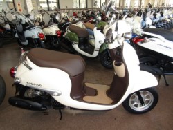 �z���_�W�����m�i���Q�����R�s�j�摜1