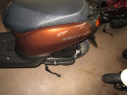 �z���_�^�N�g�E�x�[�V�b�N�i���Q�����R�s�j�摜8