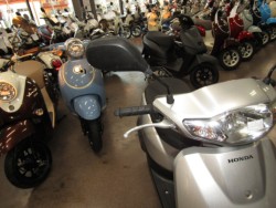 �z���_�^�N�g�E�x�[�V�b�N�i���Q�����R�s�j�摜13