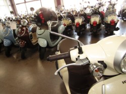 �z���_�W�����m�i���Q�����R�s�j�摜13