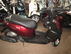 �z���_�^�N�g�E�x�[�V�b�N�i���Q�����R�s�j�摜1