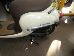 �z���_�W�����m�i���Q�����R�s�j�摜8