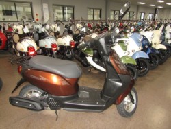 �z���_�^�N�g�E�x�[�V�b�N�i���Q�����R�s�j�摜1