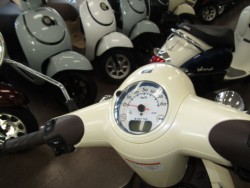 �z���_�W�����m�i���Q�����R�s�j�摜12