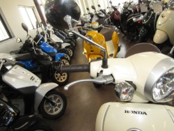 �z���_�W�����m�i���Q�����R�s�j�摜13