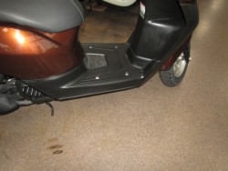 �z���_�^�N�g�E�x�[�V�b�N�i���Q�����R�s�j�摜6