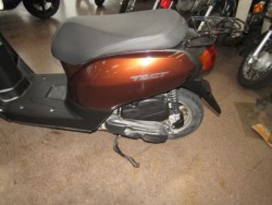 �z���_�^�N�g�E�x�[�V�b�N�i���Q�����R�s�j�摜8