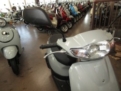 �z���_�^�N�g�E�x�[�V�b�N�i���Q�����R�s�j�摜13