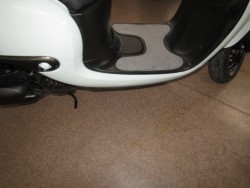 �z���_�W�����m�i���Q�����R�s�j�摜6