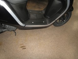 �z���_Dunk�i���Q�����R�s�j�摜6