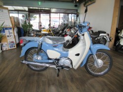 �z���_�X�[�p�[�J�u50�i���Q���ɗ\�S���O���j�摜1