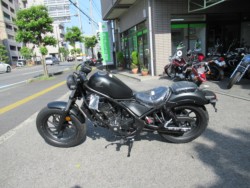z_ u250 