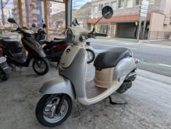 �z���_�W�����m�i���Q�����R�s�j�摜4