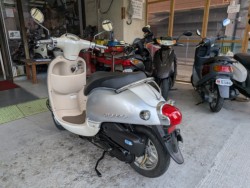 �z���_�W�����m�i���Q�����R�s�j�摜6