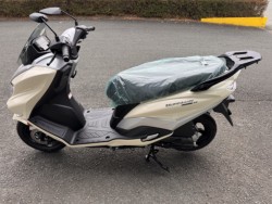 �X�Y�L�o�[�O�}���X�g���[�g125EX�i���Q���쑽�S���q���j�摜5